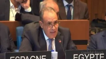 دعم مصري رسمي.. وزير الخارجية يدعو دول العالم لانتخاب خالد العناني مديرًا عامًا لليونسكو 1